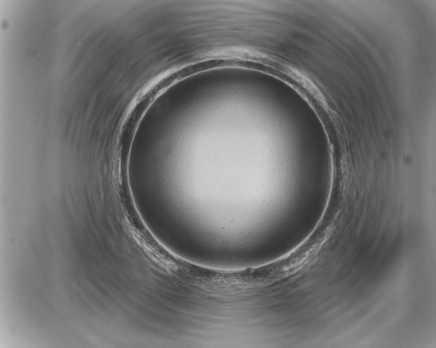 X0000087590931200705041505