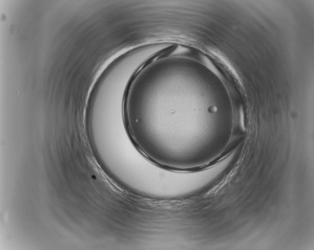 X0000087590932200705041505