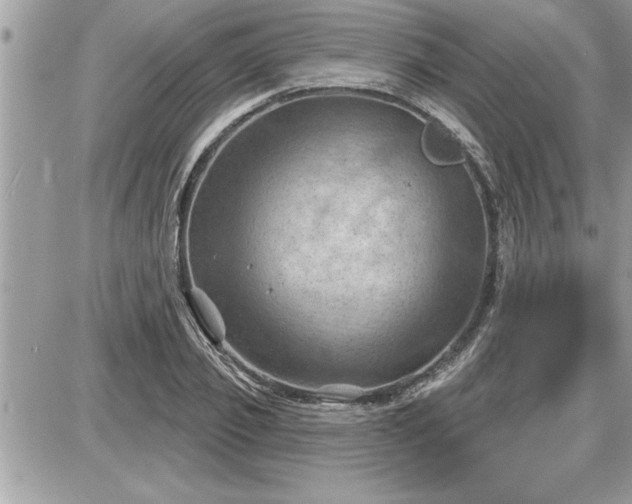 X0000087590933200705041505