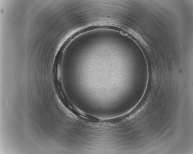 X0000087590934200705041505