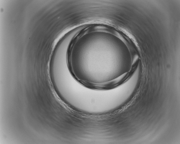 X0000087590936200705041505