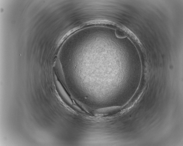 X0000087590937200705041505