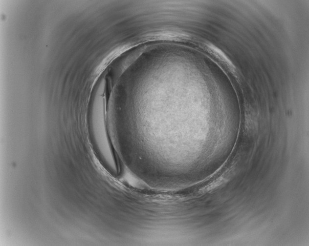 X0000087590938200705041505