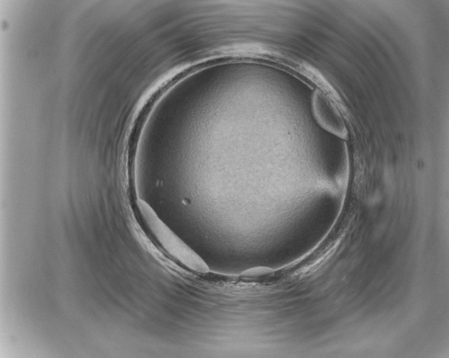 X0000087590939200705041505