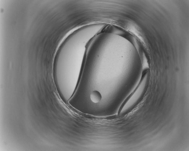 X0000087590940200705041505