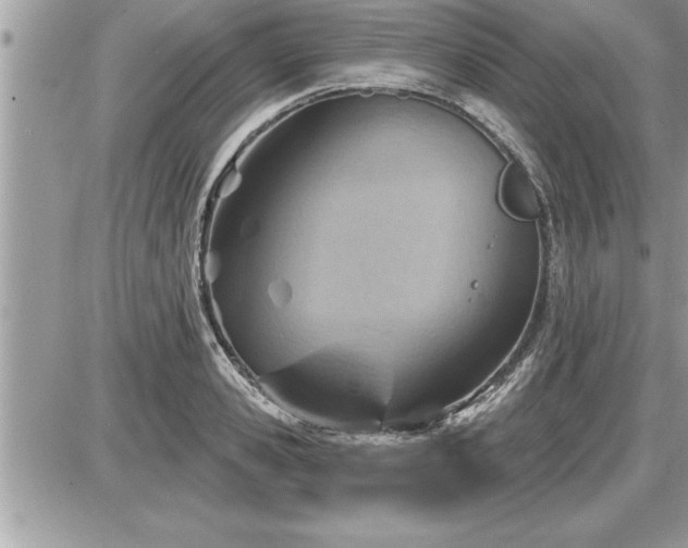 X0000087590941200705041505