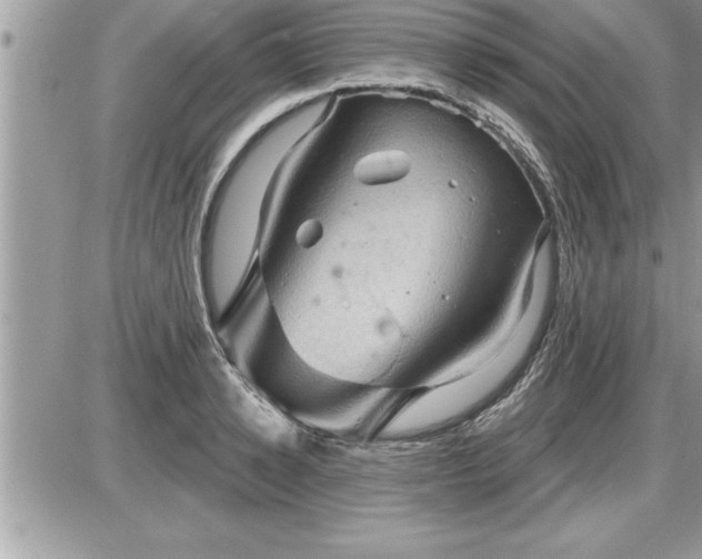 X0000087590942200705041505