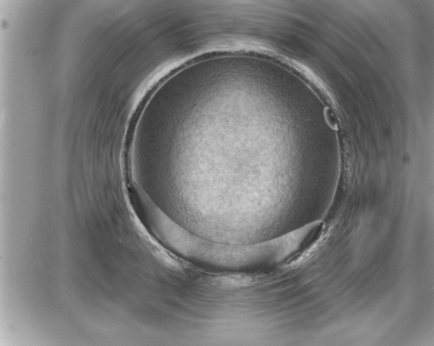 X0000087590943200705041505