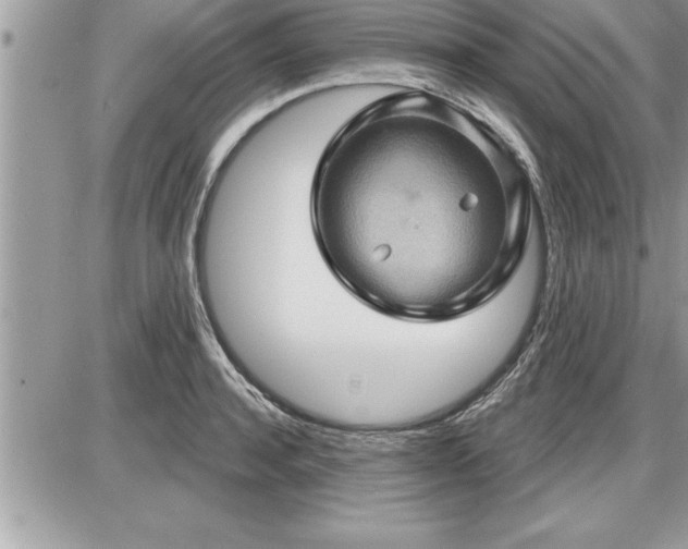 X0000087590944200705041505