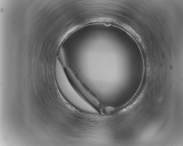 X0000087590945200705041505