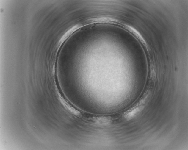 X0000087590946200705041505