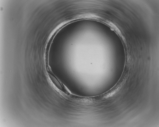 X0000087590947200705041505