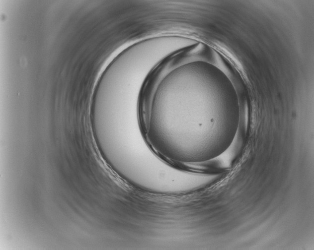 X0000087590948200705041505