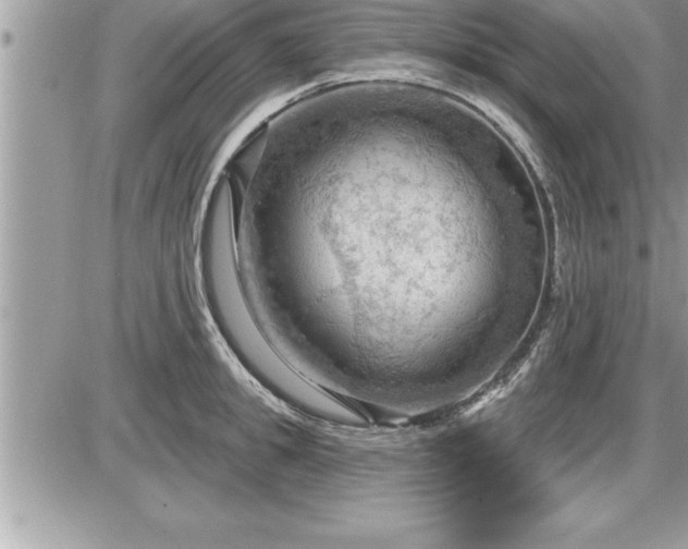 X0000087590949200705041505