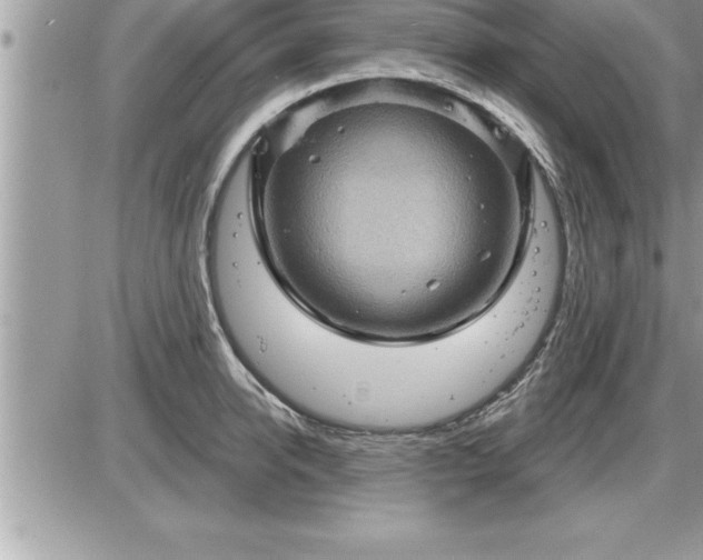 X0000087590950200705041505