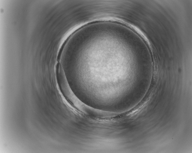 X0000087590951200705041505