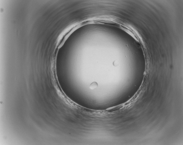 X0000087590952200705041505