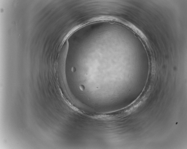 X0000087590953200705041505