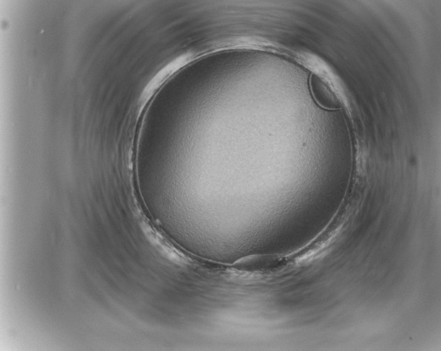 X0000087590954200705041505