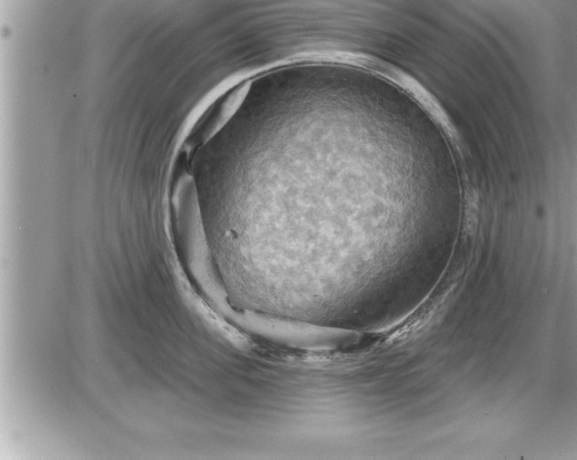 X0000087590955200705041506