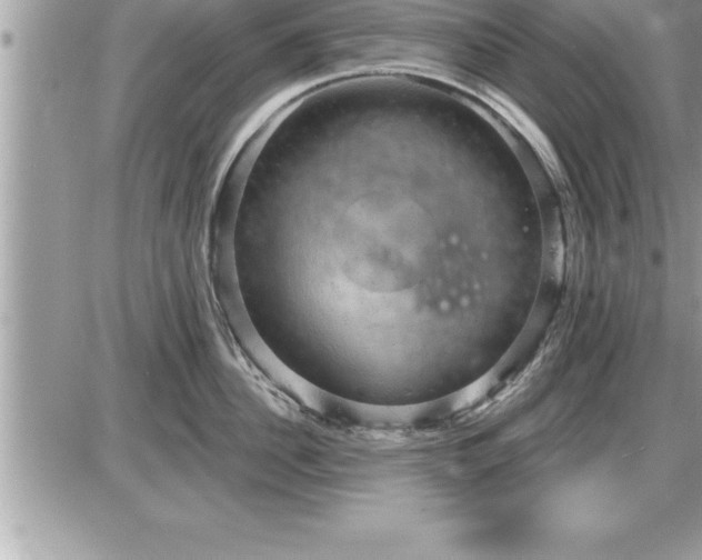 X0000087590956200705041506