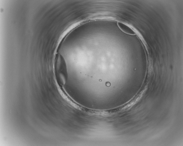 X0000087590957200705041506