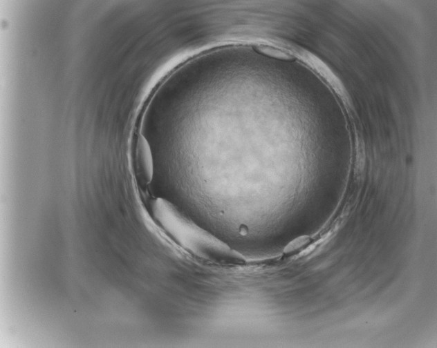 X0000087590958200705041506