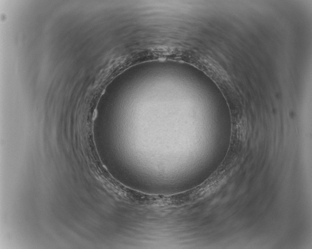 X0000087590961200705041505