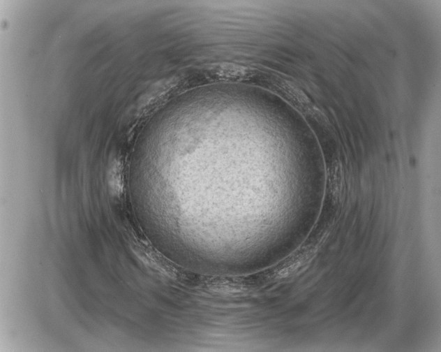 X0000087590962200705041505