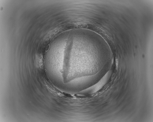 X0000087590963200705041505