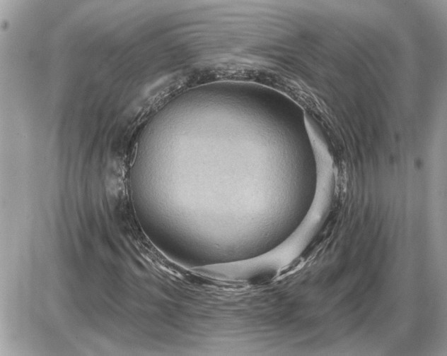 X0000087590964200705041505