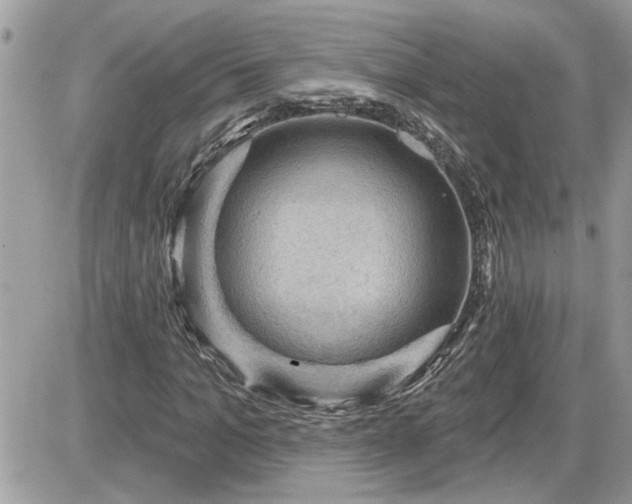 X0000087590965200705041505