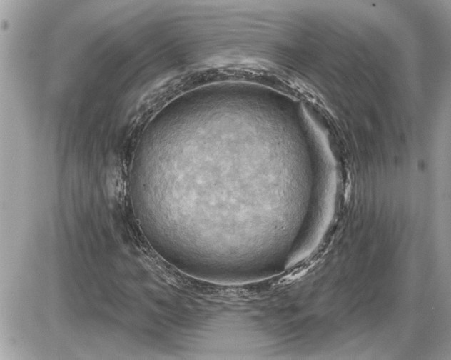 X0000087590966200705041505