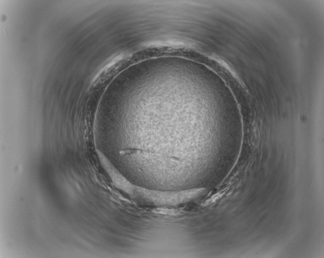 X0000087590967200705041505