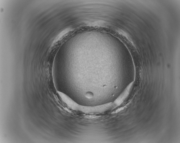 X0000087590968200705041505