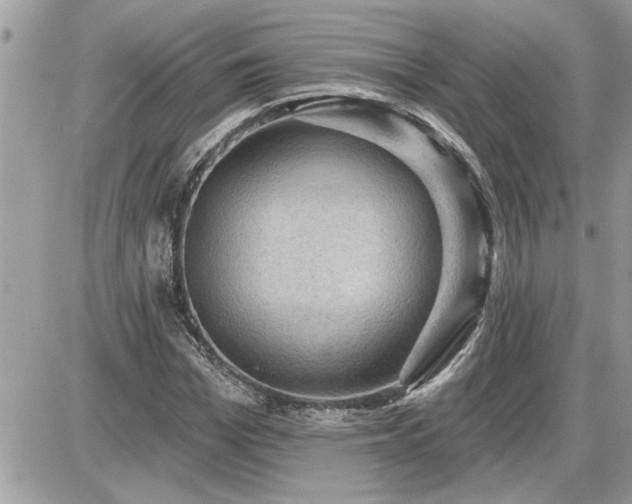 X0000087590969200705041505