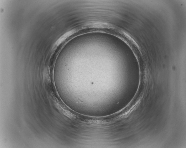 X0000087590970200705041505