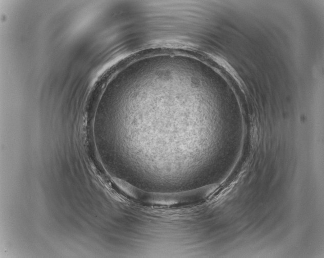 X0000087590971200705041505