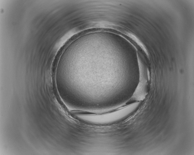 X0000087590972200705041505