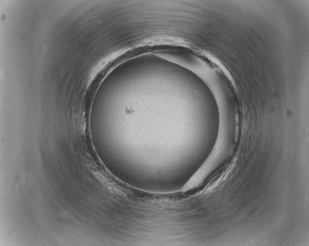 X0000087590973200705041505