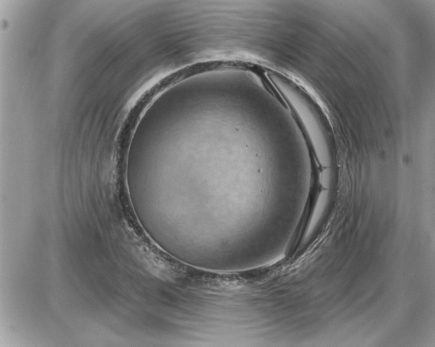 X0000087590975200705041505