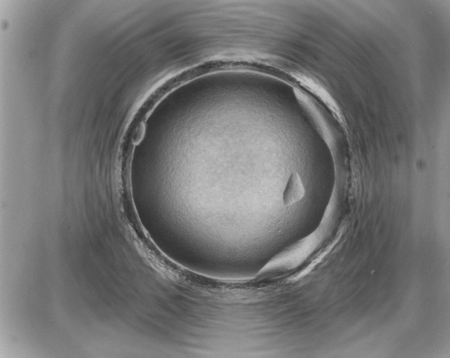 X0000087590976200705041505