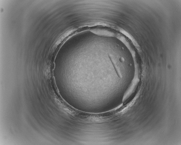 X0000087590977200705041505