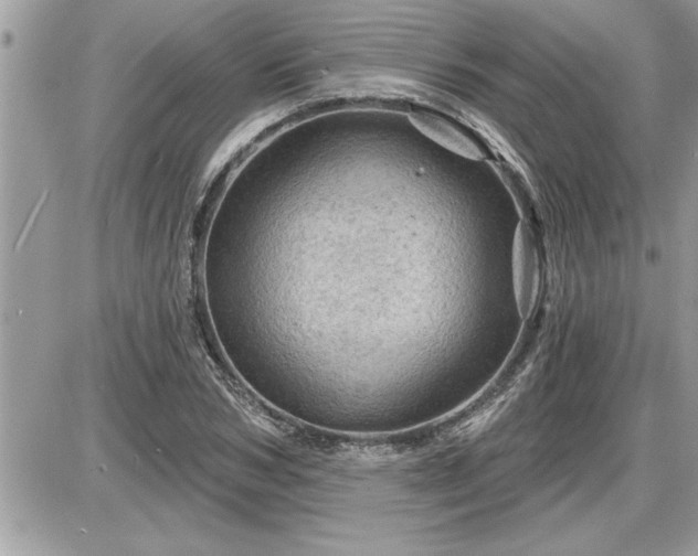 X0000087590978200705041505