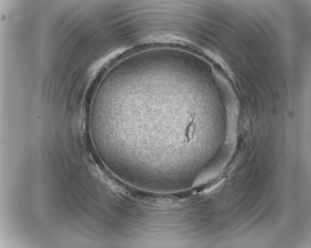 X0000087590979200705041505