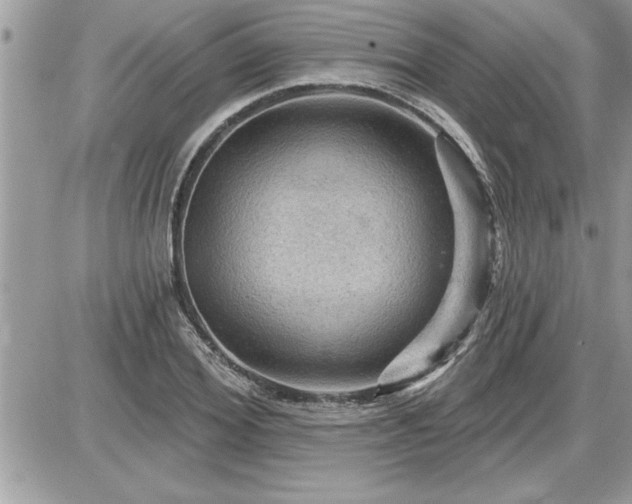 X0000087590980200705041504