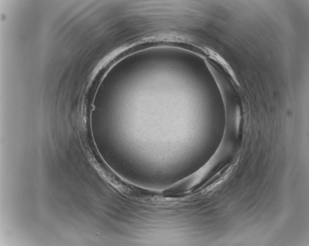 X0000087590981200705041504