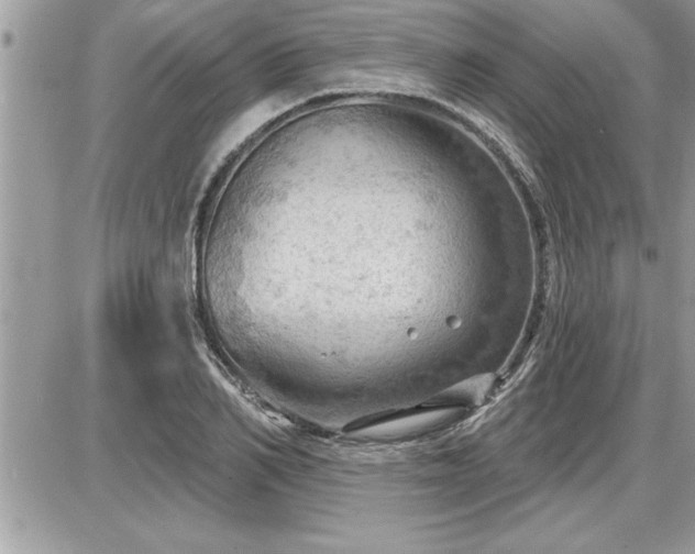 X0000087590982200705041504