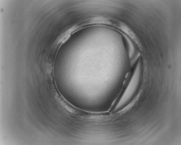 X0000087590985200705041504