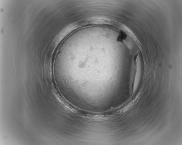 X0000087590986200705041504